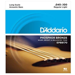 D'Addario EPBB170 Phosphor Bronze Acoustic Bass Strings, Long Scale, 45-100