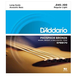 D'Addario EPBB170 Phosphor Bronze Acoustic Bass Strings, Long Scale, 45-100