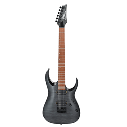 Ibanez RGA42FMTGF Electric Guitar Flame Maple Top Trans Gray Flat