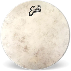 Evans 16" Calftone EQ4