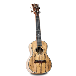 Snail Concer Ukulele UKC-490 Spalted Maple